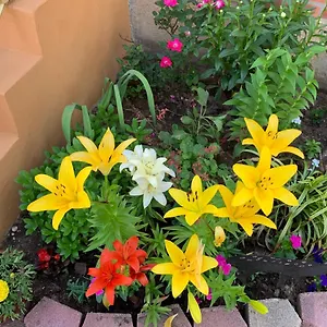 Beautiful Near Jfk And Close To Laguardia Airports Homestay